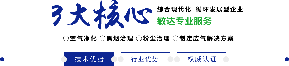 日本网站wwwwxxxx敏达环保科技（嘉兴）有限公司